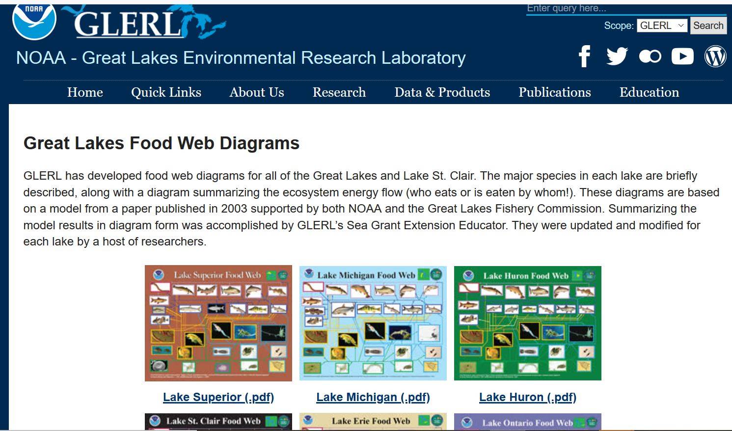 Great Lakes Food Webs